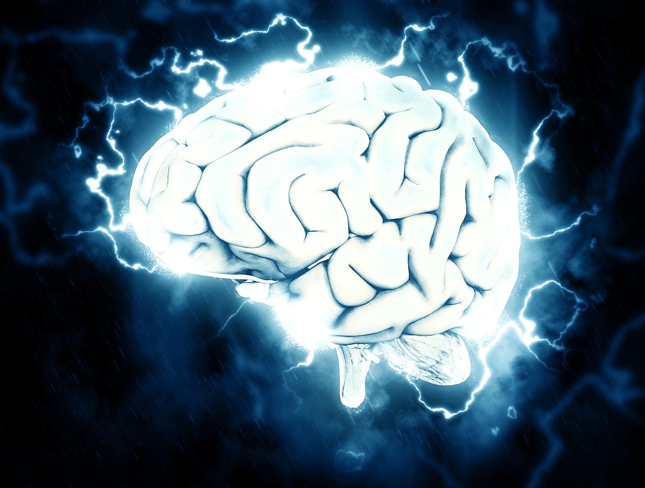 Conferencia sobre “Neurociencia y sus aportaciones al aprendizaje”